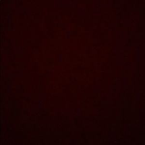 Meet your Posher, Shayla